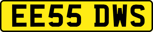 EE55DWS