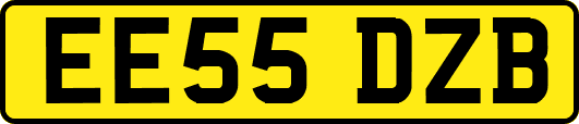 EE55DZB