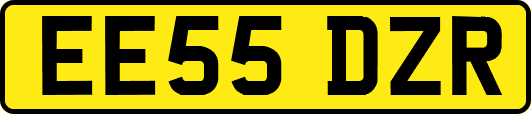 EE55DZR