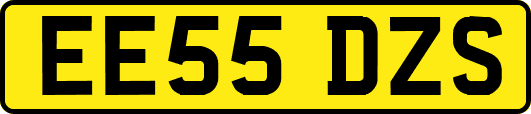 EE55DZS