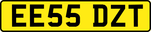 EE55DZT