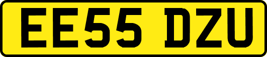 EE55DZU