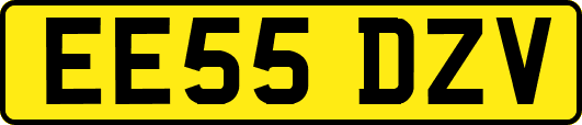 EE55DZV