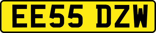 EE55DZW