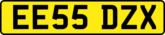 EE55DZX