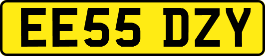 EE55DZY