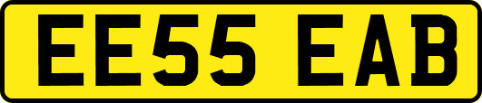 EE55EAB