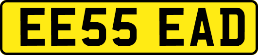 EE55EAD