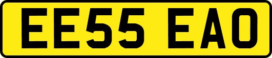 EE55EAO