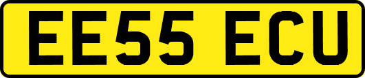 EE55ECU