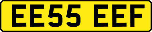 EE55EEF