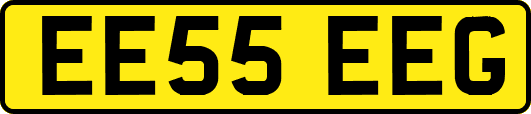 EE55EEG