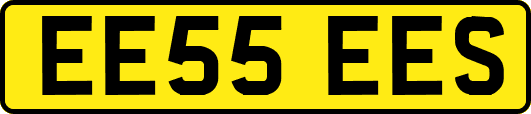 EE55EES