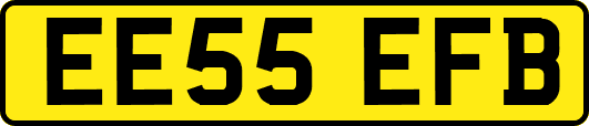 EE55EFB