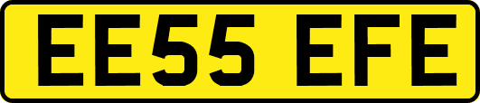 EE55EFE