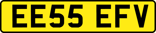 EE55EFV