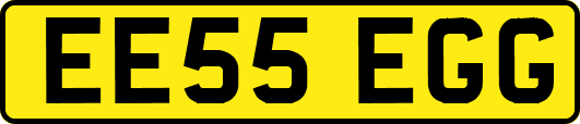 EE55EGG