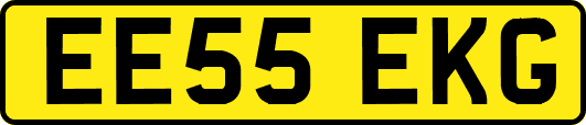 EE55EKG
