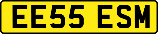 EE55ESM