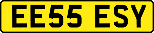 EE55ESY