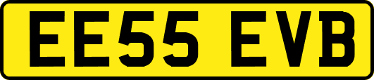 EE55EVB