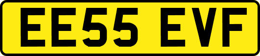 EE55EVF