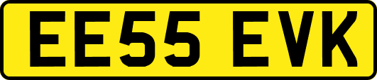 EE55EVK