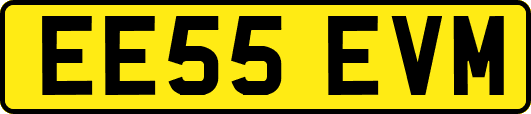 EE55EVM