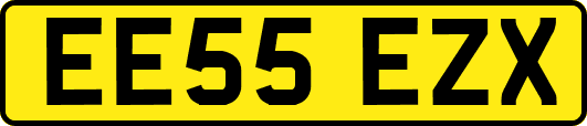 EE55EZX