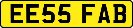 EE55FAB