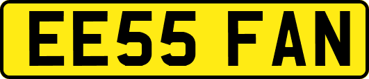EE55FAN