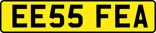 EE55FEA