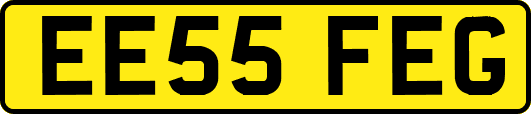 EE55FEG