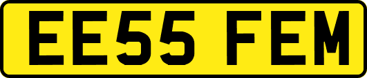 EE55FEM