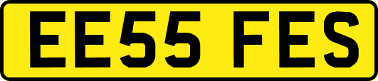 EE55FES