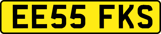 EE55FKS