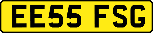 EE55FSG