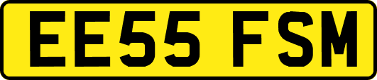 EE55FSM