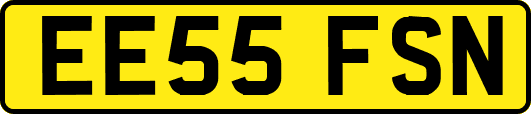 EE55FSN