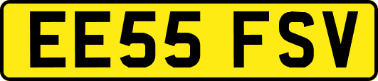 EE55FSV