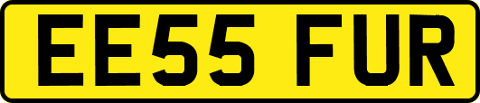 EE55FUR