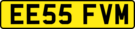EE55FVM