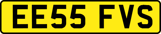 EE55FVS