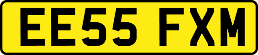 EE55FXM