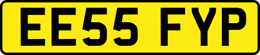 EE55FYP