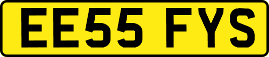 EE55FYS