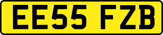 EE55FZB