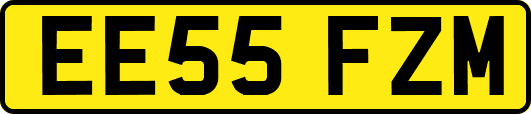 EE55FZM