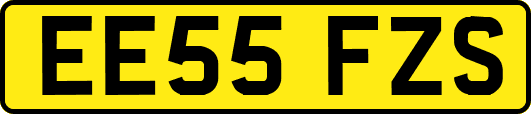 EE55FZS