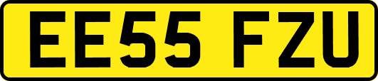 EE55FZU